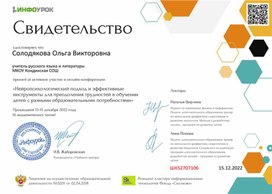 Обложка для материала Свидетельство "Нейропсихологический подход и эффективные инструменты для преодоления трудностей"