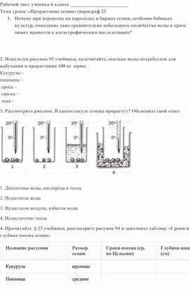 Обложка для материала Рабочий лист по теме "Прорастание семян", 6 класс