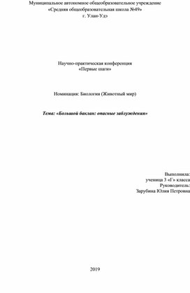 Доклад "Большой баклан: опасные заблуждения" на конференцию "Первые шаги"