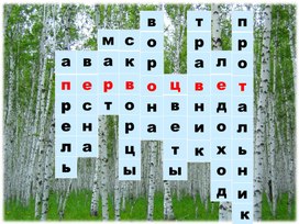 Презентация по внеурочной деятельности"Первоцветы. Пробуждение"