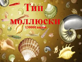 Презентация по биологии "Моллюски" 7 класс