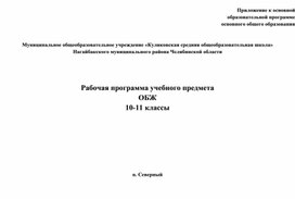 Рабочая программа по обж 10-11 классы