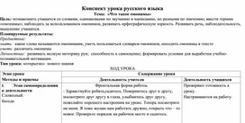 Конспект урока по русскому языку 3 класс "Омонимы"