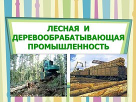 Лесная и деревообрабатывающая промышленность