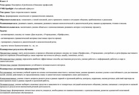 Технологическая карта урока "Description of professions"