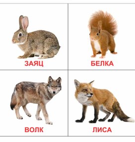 Обложка для материала карточки дикие животные