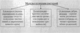 Материал к урокам  биологии