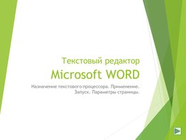 Назначение текстового процессора. Применение. Запуск. Параметры страницы.