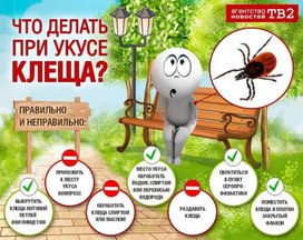 Обложка для материала что делать при укусе клеща
