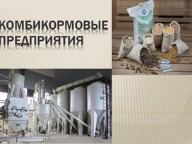 Обложка для материала Презентация на тему "Комбикормовые предприятия"