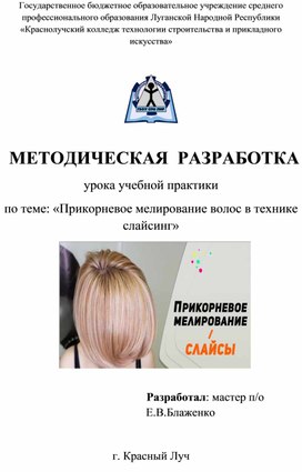 Методическая разработка  урока учебной практики по теме: «Прикорневое мелирование волос в технике слайсинг»