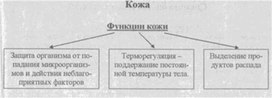 Материал к урокам  биологии