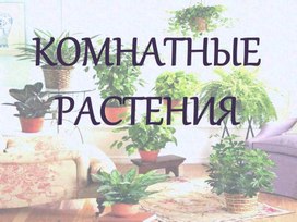 Презентация для детей с ТМНР "Комнатные растения"