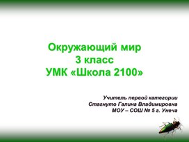 Урок по окружающему миру на тему "Маленькие рыцари" (презентация)