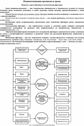 Взаимоотношения организма и среды