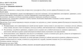 Урок окружающего мира 2 класс "Домашние опасности"