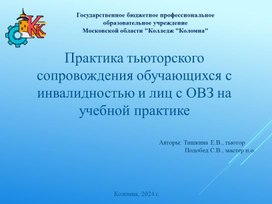 Практика  сопровождения обучающихся с инвалидностью и лиц с ОВЗ на учебной практике