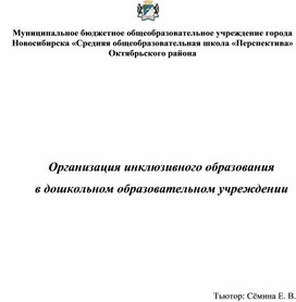 Организация инклюзивного образования в ДОУ