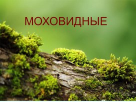 Обложка для материала Презентация по биологии "Моховидные"