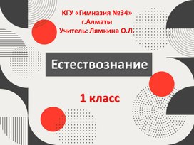 Обложка для материала Презентация к уроку Естествознание по теме "Что такое естественные источники звука"