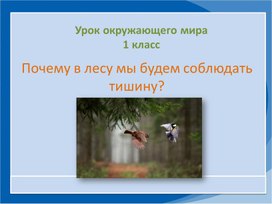 Презентация по окружающему миру на тему: "Почему в лесу мы будем соблюдать тишину?" (1 класс)