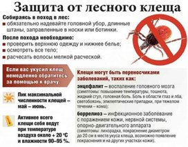 Обложка для материала защита от лесного клеща