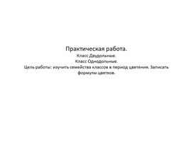 Практическая работа по биологии: класс Двудольные, класс однодольные.