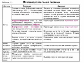Обложка для материала Биология в таблицах