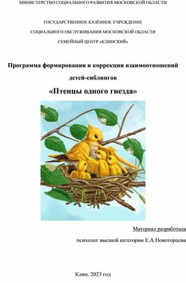 Программа формирования и коррекции взаимоотношений  детей-сиблингов  «Птенцы одного гнезда»