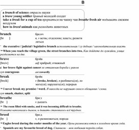 Обложка для материала английские слова_на_все_случаи_жизни