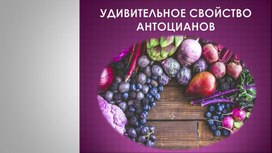 Удивительное свойство антоцианов