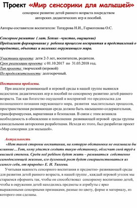 Педагогический проект во второй ясельной группе "Мир сенсорики для малышей"