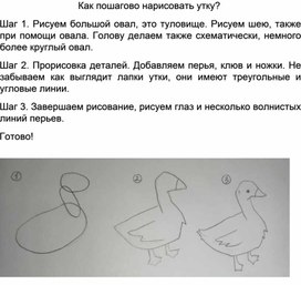 Обложка для материала Как поэтапно нарисовать утку?