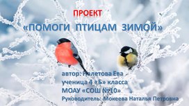 Обложка для материала Проект "Помоги птицам зимой"