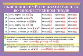 Обложка для материала склонение прилагательных во множественном числе