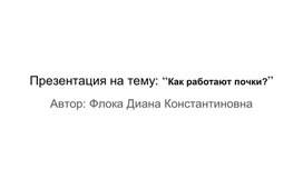 Презентация на тему: “Как работают почки?”