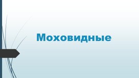 Презентация к классному часу "Моховидные"