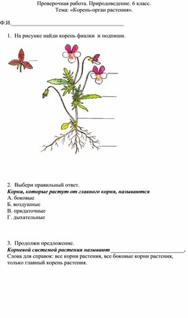 Проверочная работа по теме: "Корень-часть растения"