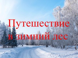 Обложка для материала "Путешествие в зимний лей" Презентация для индивидуальной работы на занятии