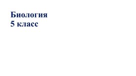 Цитология – наука о клетке. Лабораторная работа «Изучение клеток кожицы чешуи лука под лупой и микроскопом (на примере самостоятельно приготовленного микропрепарата)»