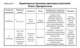 Обложка для материала Биология в таблицах