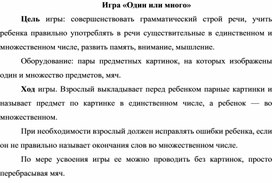 Обложка для материала Игра "Один или много"