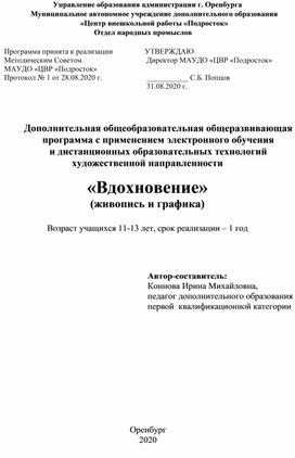 Дополнительная общеобразовательная общеразвивающая программа с применением электронного обучения  и дистанционных образовательных технологий художественной направленности