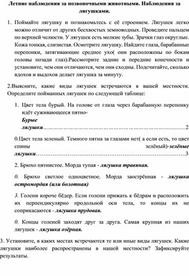 Летние наблюдения за позвоночными животными.Наблюдения за лягушками.