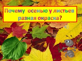 Презентация на тему "Почему осенью  листья разноцветные"