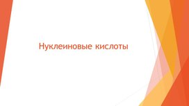 Презентация по биологии на тему "Нуклеиновые кислоты"