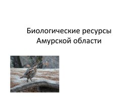 Обложка для материала Биологические  ресурсы