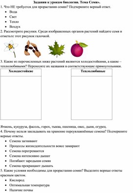 Задания по теме "Семя"