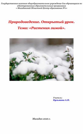 Обложка для материала Конспект урока "Растения зимой"