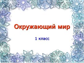 Обложка для материала где живут медведи